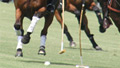 Observatorio Tem&aacute;tico: Alto Handicap en Polo<br />