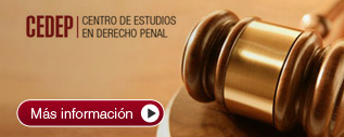 Debatiendo con Jaime Malamud Goti