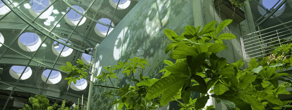 Dise&ntilde;o Sustentable: Curso de Posgrado Arquitectura