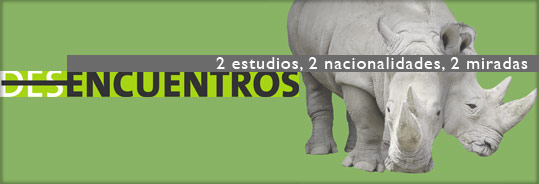 Charlas "Desencuentros"