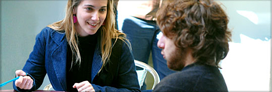 Estudios Individualizados: Plan de estudios