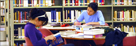 Estudios Individualizados: El M&oacute;dulo de Estudios Generales: El Core