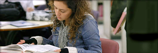 Educaci&oacute;n Superior: Plan de Estudios
