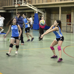 V&oacute;ley Femenino