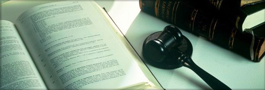 Cl&iacute;nica Jur&iacute;dica en Derecho de Acceso a la Informaci&oacute;n P&uacute;blica