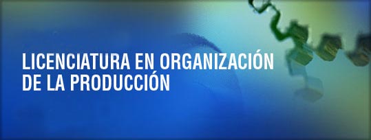 Licenciatura en Inform&aacute;tica Industrial