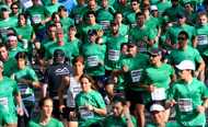 Videos de la Maraton UP