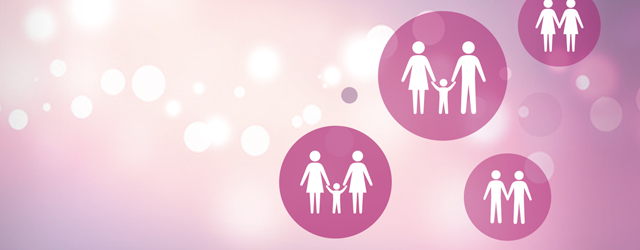 La práctica profesional en Derecho de Familia La práctica profesional en Derecho de Familia