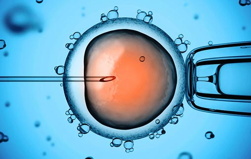Desafíos contemporáneos de las técnicas de reproducción asistida