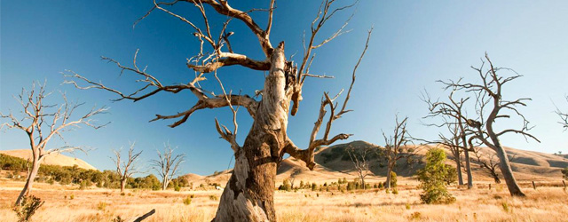 ¿Quiénes son los responsables de afrontar el cambio climático?