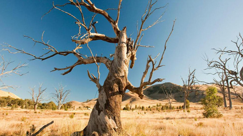 ¿Quiénes son los responsables de afrontar el cambio climático?