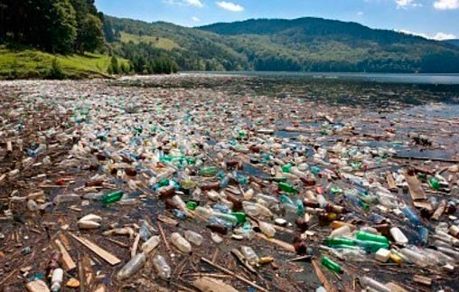 El profesor Daniel H. Lago comenta fallo sobre daño ambiental, prevención y recomposición