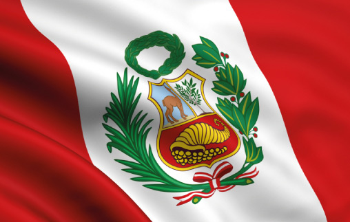 Seminario: Oportunidades comerciales con Perú