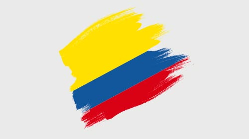 Amicus curiae ante la Corte Constitucional de Colombia en el marco del proceso de revisión de la Ley 1520 (Ley Lleras)