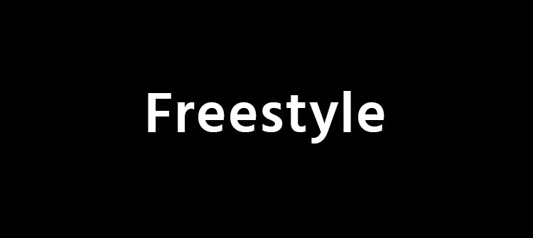 Programa Ejecutivo Freestyle