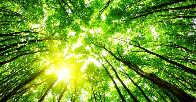 Reflexiones sobre el cambio climático en tiempos de pandemia. ¿Por qué percibimos al COVID 19 como catástrofe y no al cambio climático? Reflexiones sobre el cambio climático en tiempos de pandemia. ¿Por qué percibimos al COVID 19 como catástrofe y no al cambio climático?