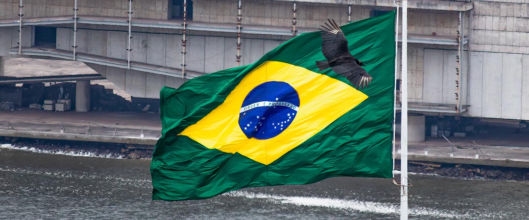 Brasil o la gripecita ideológica