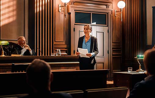 Argumentación judicial: fundamentos y práctica