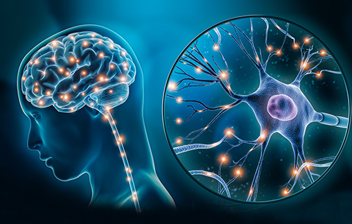 Aportes de las Neurociencias a la vida cotidiana: entrenando tu cerebro