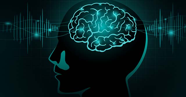 Ciencia y Música. Aportes de las neurociencias al estudio de las experiencias musicales Ciencia y Música. Aportes de las neurociencias al estudio de las experiencias musicales