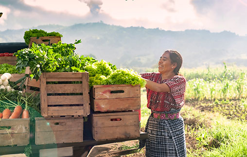 Convocatoria: Mujeres Produciendo Alimentos