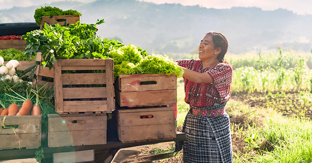 Mujeres Produciendo Alimentos: programa del Ministerio de Agricultura, Ganadería y Pesca