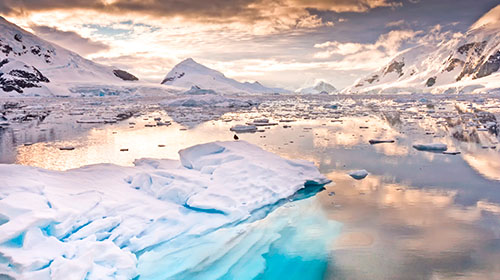 ¿Qué se entiende por política antártica?