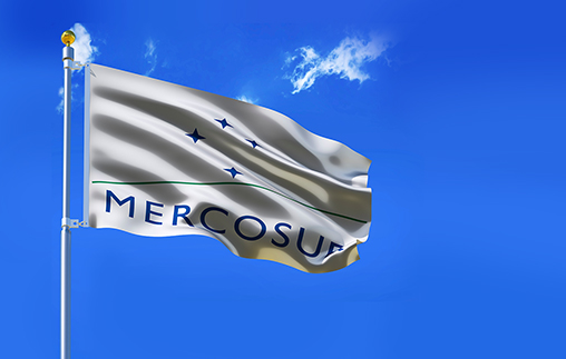 Ciudadanía del Mercosur