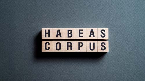 Taller de casos sobre <em>habeas corpus</em> correctivo