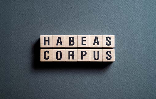 Taller de casos sobre <em>habeas corpus</em> correctivo