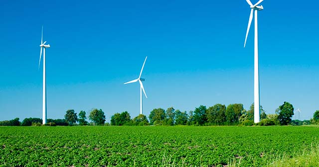 Economía y cambio climático: el impacto de la actividad empresaria en la sostenibilidad ambiental