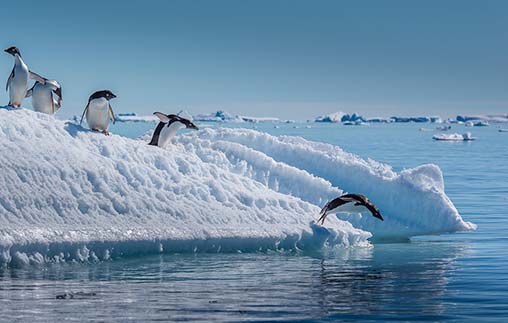 Charla abierta: La Antártida y el cambio climático
