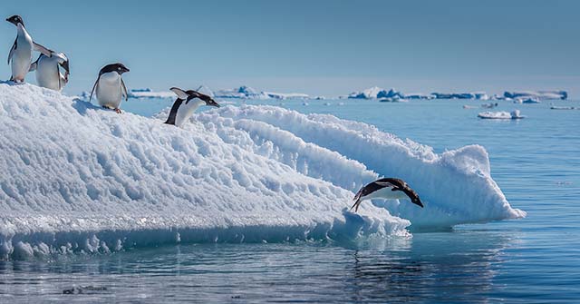 Charla abierta: La Antártida y el cambio climático