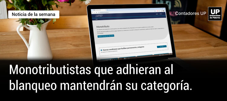📋 AFIP: Monotributistas que Adhieran al Blanqueo Mantendrán Su Categoría 🔍