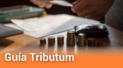 Leyes rectoras: 27.743 “Paquete Fiscal” y 27.742 “Bases y puntos de partida”