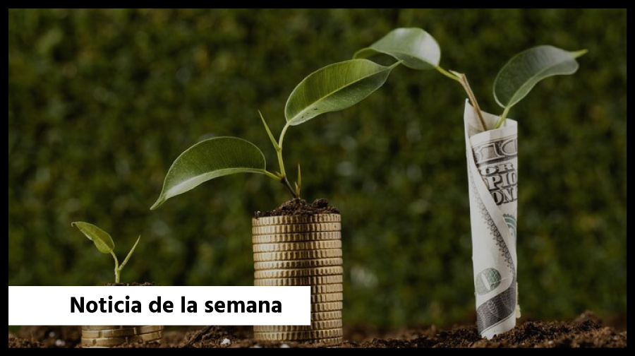 El Gobierno deja retenciones cero para carnes y reestablece tributos para granos