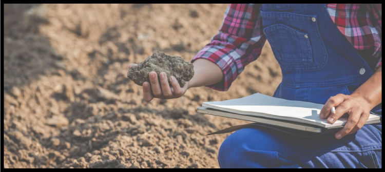   El Gobierno deja retenciones cero para carnes y reestablece tributos para granos  