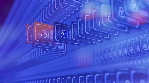 Gesti&oacute;n Organizacional y del Talento