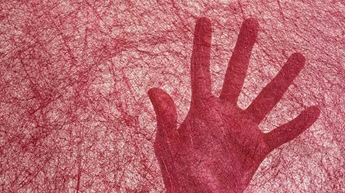 Sensaci&oacute;n y Percepci&oacute;n