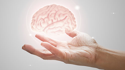 Ciclo de Charlas en Neurociencias: ¿Cuáles son las funciones neuropsicológicas más beneficiadas?