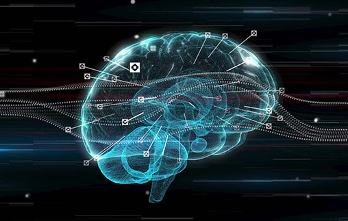 Aportes de las neurociencias a la salud integral