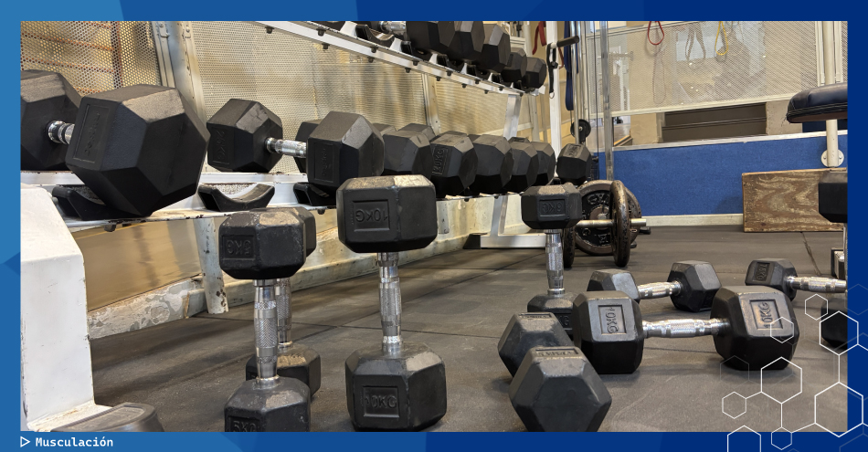 &iexcl;Fortalec&eacute; tu cuerpo y tu mente!