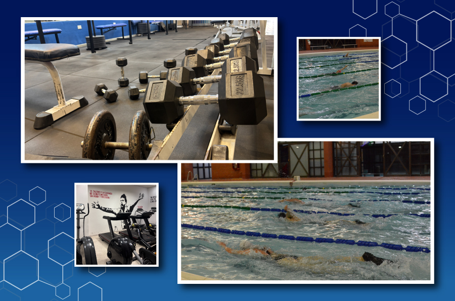 Entrená a tu ritmo con musculación y pileta libre Entrená a tu ritmo con musculación y pileta libre