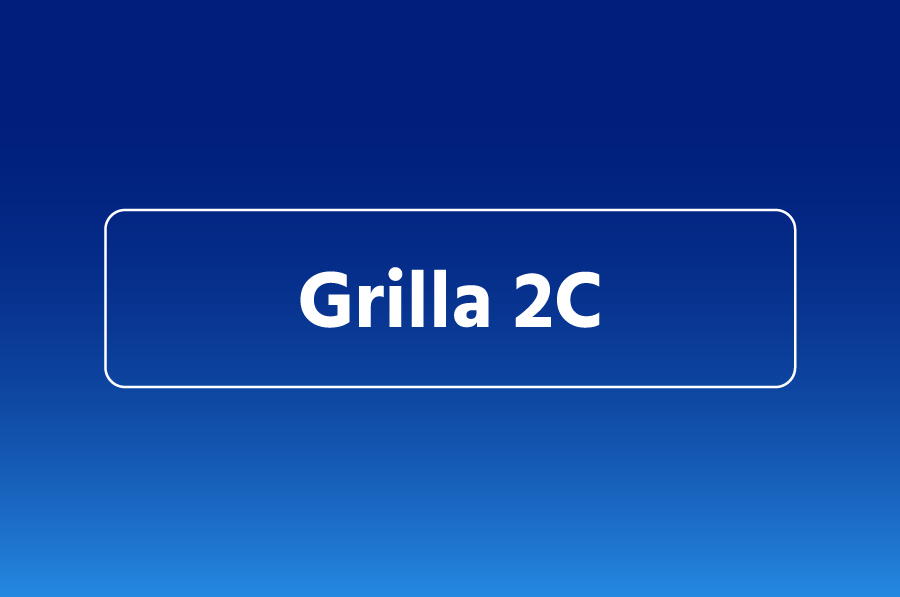Grilla de actividades 2026