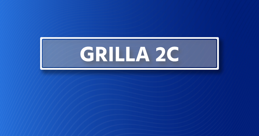 Grilla de actividades 2026