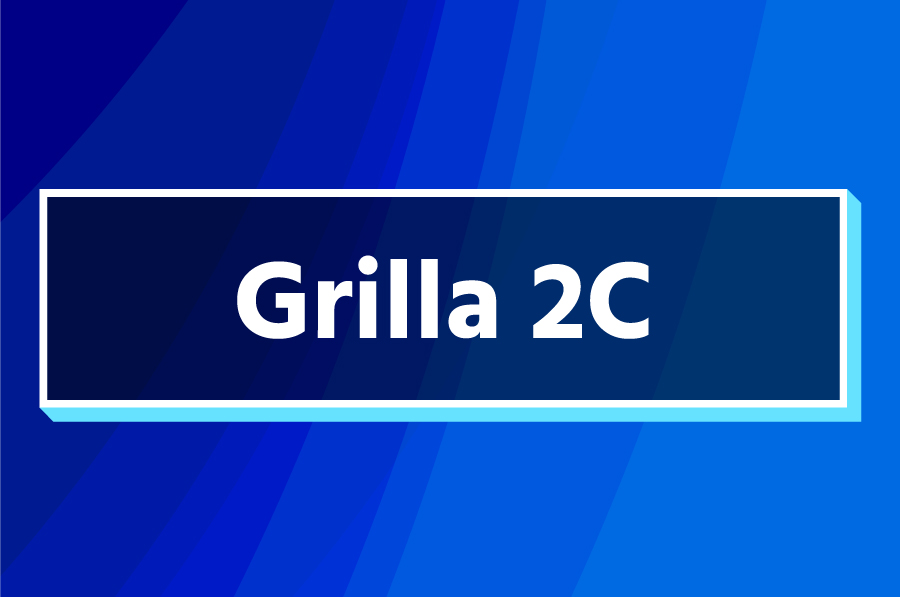 Grilla de actividades 2026