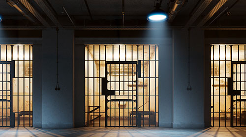 Econom&iacute;a pol&iacute;tica y encarcelamiento