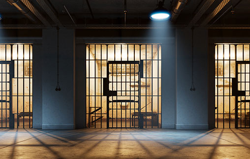 Econom&iacute;a pol&iacute;tica y encarcelamiento