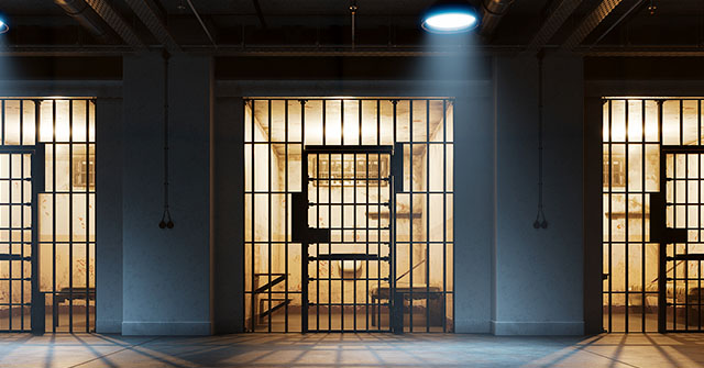 Econom&iacute;a pol&iacute;tica y encarcelamiento