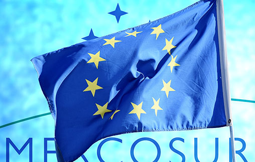 Acuerdo UE&ndash;Mercosur: &iquest;aliados comerciales o algo m&aacute;s?